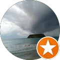 Pat. B. Avatar